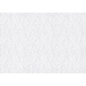 Foglio Neve 21 x 29,7 cm MyVillage | B2B Garden